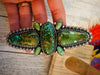 Navajo Sonoran Gold Turquoise & Sterling Silver Adjustable Ring